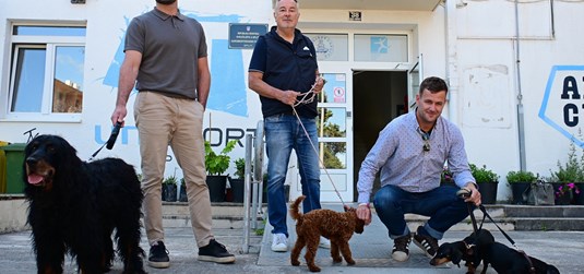 Pas Tito pokrenuo veliku promjenu: Kako je jedan spontani trenutak pretvorio fakultet u 'pet friendly' zonu